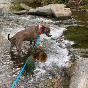 Meet your Posher, Brenda